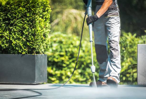 Best Solar Panel Cleaning  in Wenonah, NJ